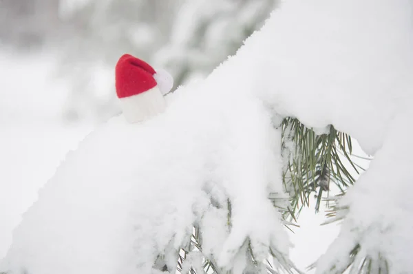 Jul Bakgrund Med Frostiga Tall Med Röda Santa Hatt — Stockfoto