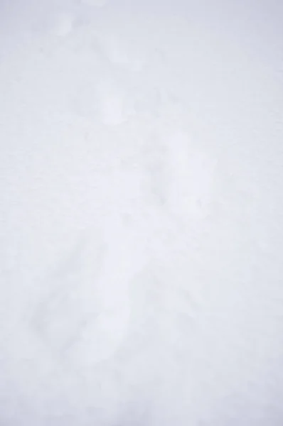 Closeup Footsteps Snow Going Forward — Stock Photo, Image