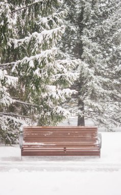 Parkta bankta Kışın karda