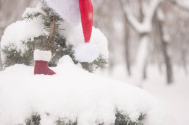 Noel arka plan ayaz çam ağacı ile kırmızı Santa şapka ile