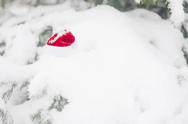 Boże Narodzenie Tło Mroźny Sosny Red Santa Hat — Zdjęcie stockowe