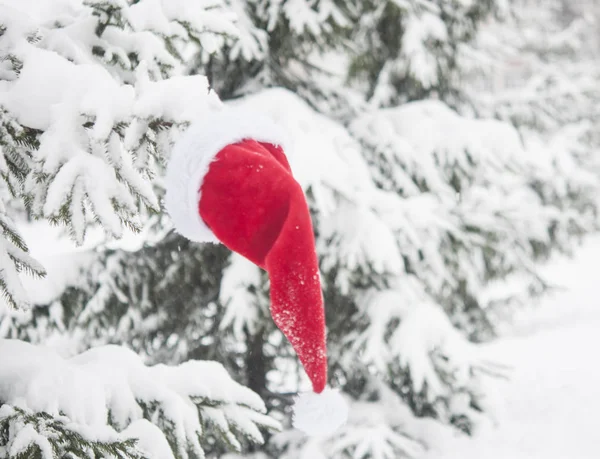 Fond Noël Avec Pin Givré Avec Chapeau Père Noël Rouge — Photo