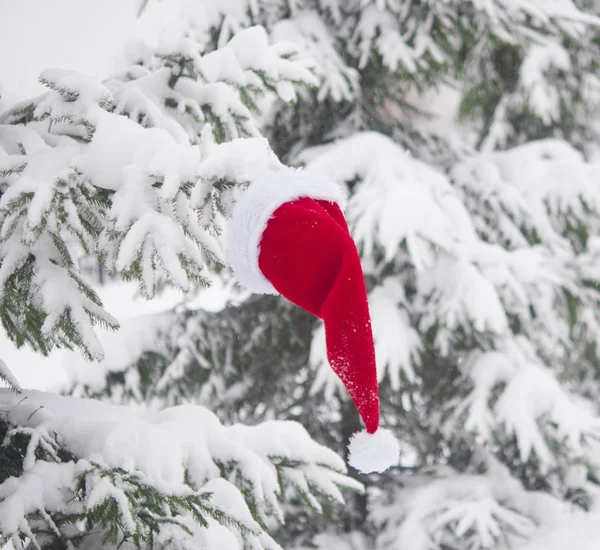 Fond Noël Avec Pin Givré Avec Chapeau Père Noël Rouge — Photo