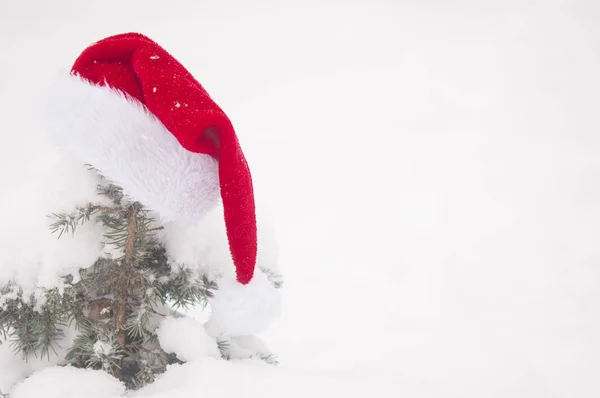 Fond Noël Avec Pin Givré Avec Chapeau Père Noël Rouge — Photo