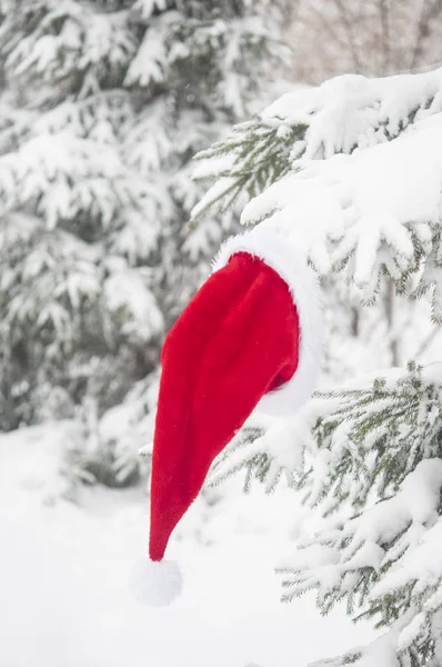 Fond Noël Avec Pin Givré Avec Chapeau Père Noël Rouge — Photo