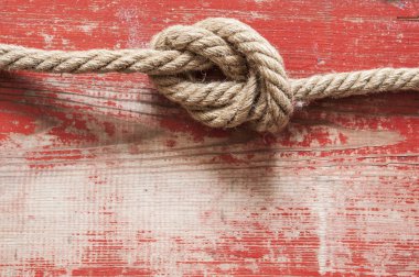 Yaşlı bir ağaç arka plan üzerinde bir ip ile resim