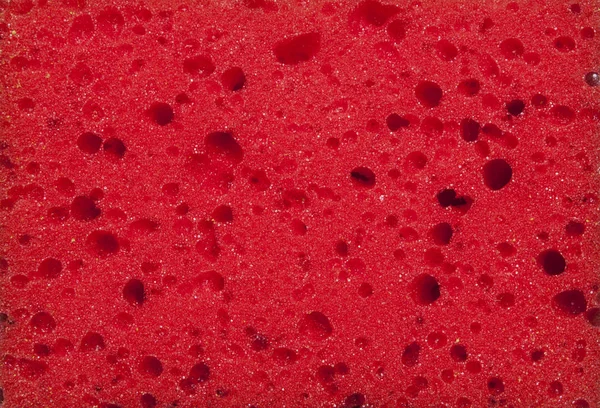 Sponge Texture Background Red Sponge Background — Stock Photo, Image