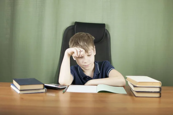 Vrolijke Jongen Met Een Heleboel Boeken Bezig Met Zijn Huiswerk — Stockfoto