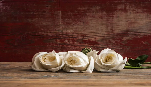 Rosas brancas em fundo de madeira. Espaço de cópia — Fotografia de Stock