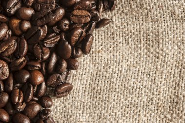 kahve çekirdekleri üzerine kaba ehlileştirmek