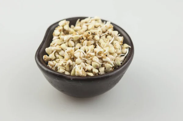 Sprouts of green buckwheat in a bowl. Macro shot. Raw buckwheat. — Stock Photo, Image