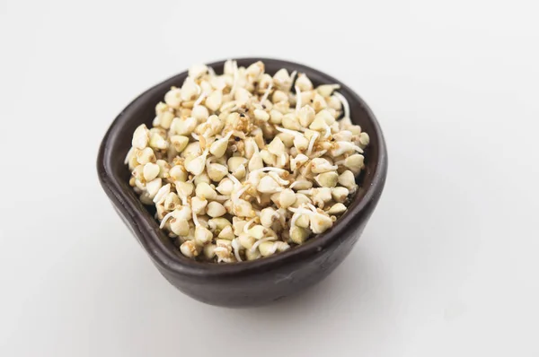 Sprouts of green buckwheat in a bowl. Macro shot. Raw buckwheat. — Stock Photo, Image