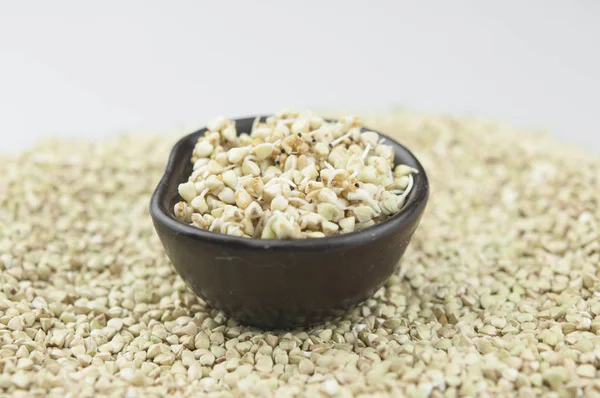 Sprouts of green buckwheat in a bowl. Macro shot. Raw buckwheat. — Stock Photo, Image