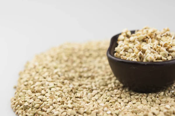 Sprouts of green buckwheat in a bowl. Macro shot. Raw buckwheat. — Stock Photo, Image