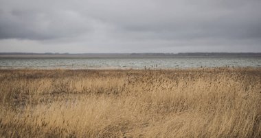 Sazlı bir gölde akşam