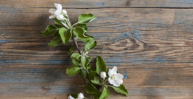 Güzel çiçek ile Bahar doğa arka plan