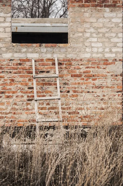 Weathered brick wall with wooden ladder background — Stock Photo, Image