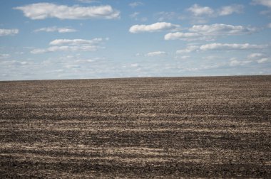 Baharda sürülmüş tarlalar Mavi gökyüzüyle.