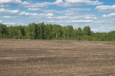 Baharda sürülmüş tarlalar Mavi gökyüzüyle.