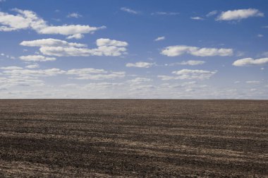 Baharda sürülmüş tarlalar Mavi gökyüzüyle.
