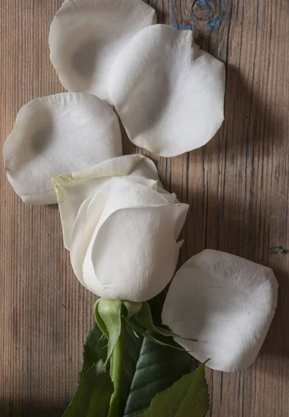 Bouquet de roses sur table en bois . — Photo