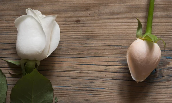Букет троянд над дерев'яним столом . — стокове фото