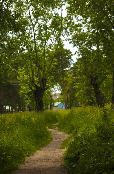 Güzel caddede park, yol yol — Stok fotoğraf