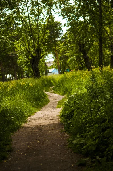 Güzel caddede park, yol yol — Stok fotoğraf