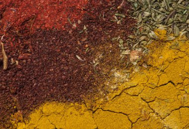 Metin veya etiket için boş alana sahip geniş çeşitli baharatlar ve otlar