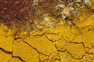 Metin veya etiket için boş alana sahip geniş çeşitli baharatlar ve otlar