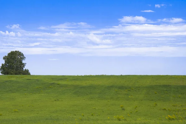 Campo verde e céu azul com nuvens — Fotografia de Stock