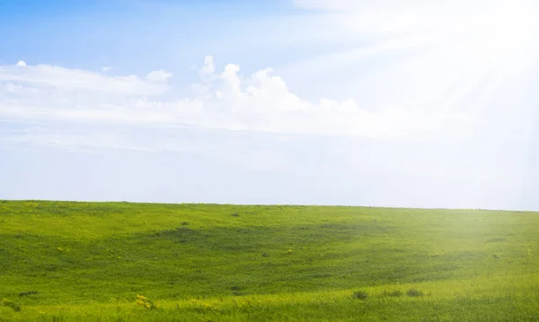 Grünes Feld und blauer Himmel mit Wolken — Stockfoto