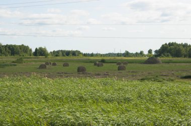 Mavi gökyüzüne karşı sıcak bir yaz günü alanında saman balya