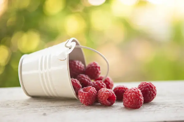 Süße Gartenbeeren. rote Beeren. — Stockfoto