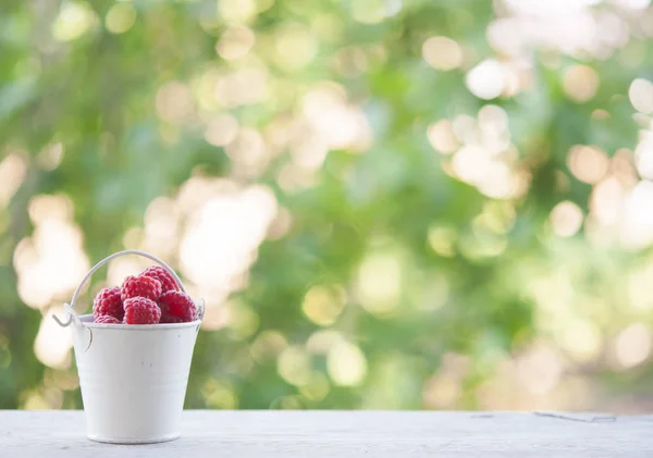 Süße Gartenbeeren. rote Beeren. — Stockfoto