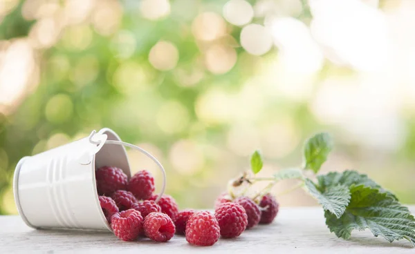 Sweet garden berries. Red berries. — Stock Photo, Image