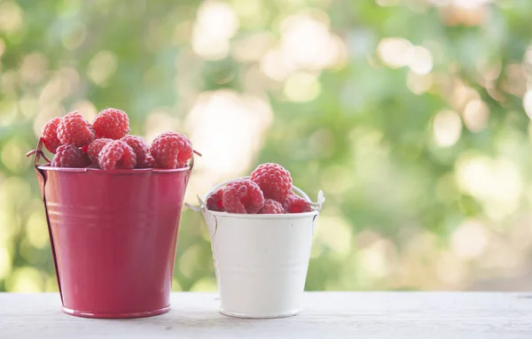 Süße Gartenbeeren. rote Beeren. — Stockfoto