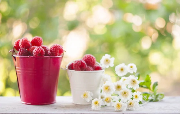 Zomer achtergrond met tuinbessen en boeket van witte flowe — Stockfoto