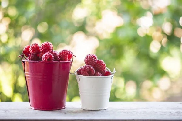 Süße Gartenbeeren. rote Beeren. — Stockfoto