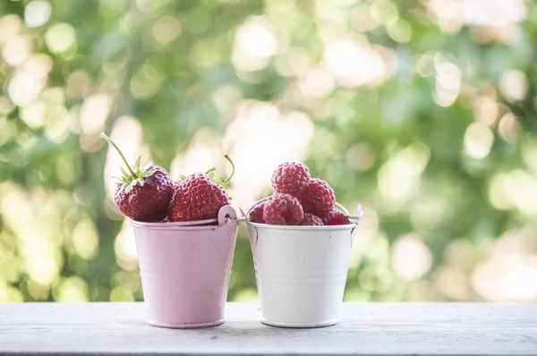 Süße Gartenbeeren. rote Beeren. — Stockfoto