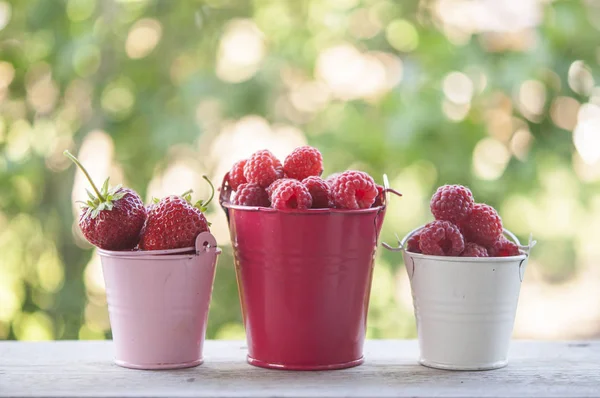 Süße Gartenbeeren. rote Beeren. — Stockfoto