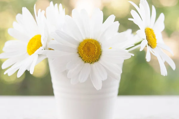 Bukett Daisy-kamomill blommor i potten — Stockfoto