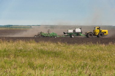 Buğday tanelerini toplayan birleş-hasat çırçıt. Tema agricultu olduğunu