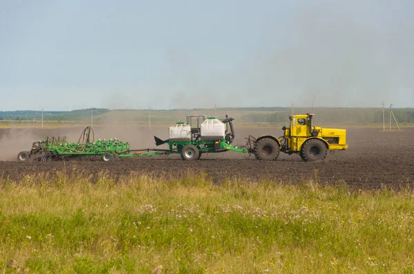 Buğday tanelerini toplayan birleş-hasat çırçıt. Tema agricultu olduğunu