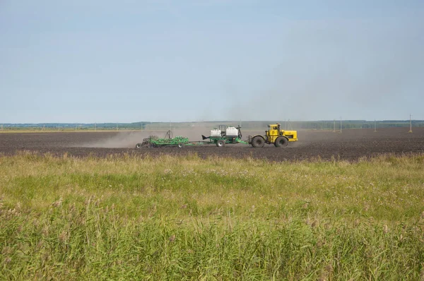 Buğday tanelerini toplayan birleş-hasat çırçıt. Tema agricultu olduğunu