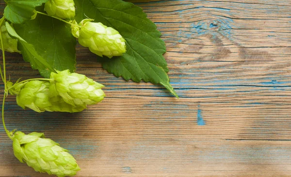 Frischer grüner Hopfen auf einem hölzernen Hintergrund — Stockfoto