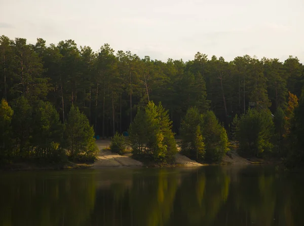 Eau bleue dans un lac forestier avec des pins — Photo