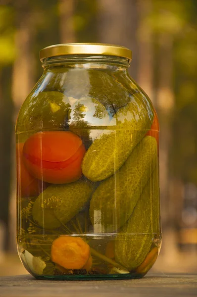 Gepekelde komkommers in potten, conserven — Stockfoto
