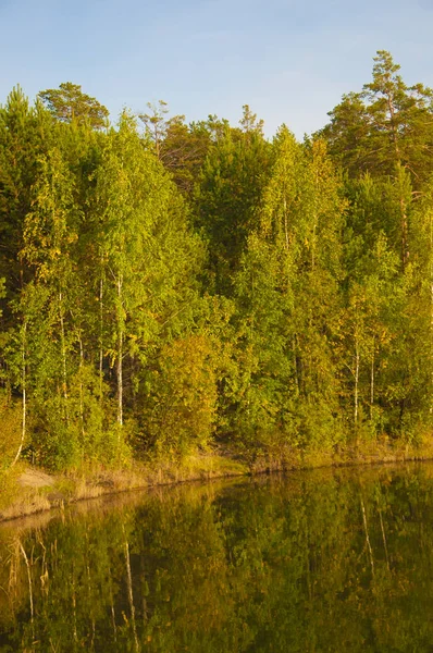 Blått vatten i en skogssjö med tallar — Stockfoto