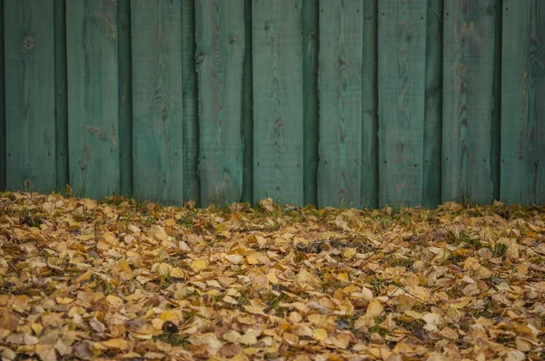 Blad daling van de herfst parklandschap — Stockfoto